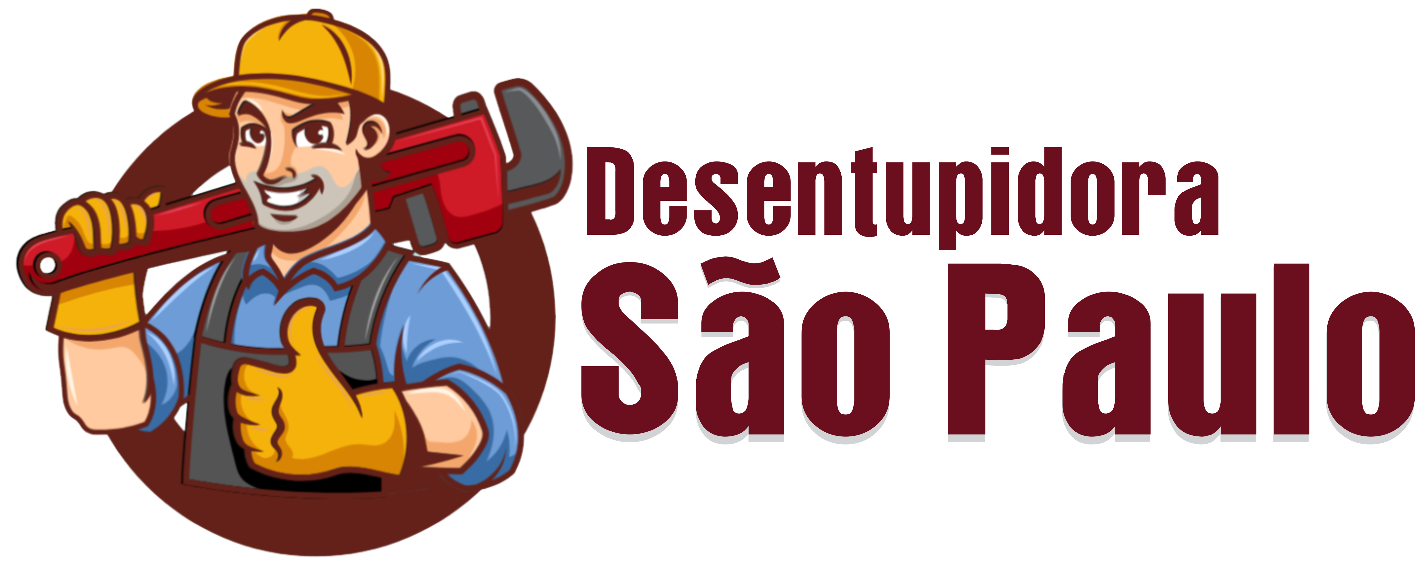 Lapa Desentupidora