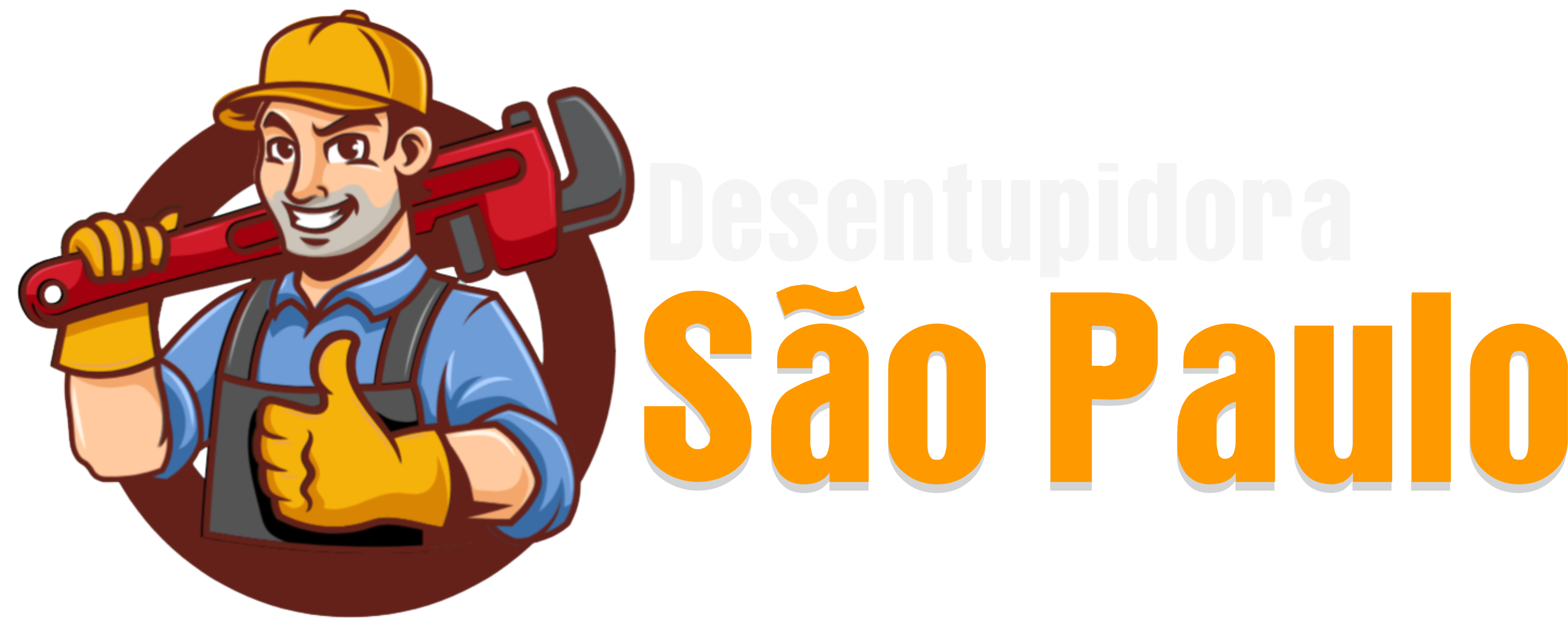 Lapa Desentupidora